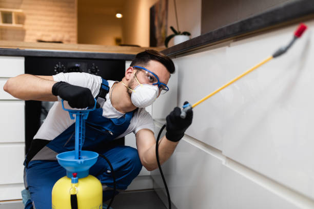 Best Insect Control  in Franklin, WI