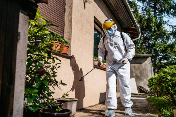 Best Pest Control Near Me  in Franklin, WI