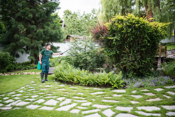 Best Ant Control Services  in Franklin, WI