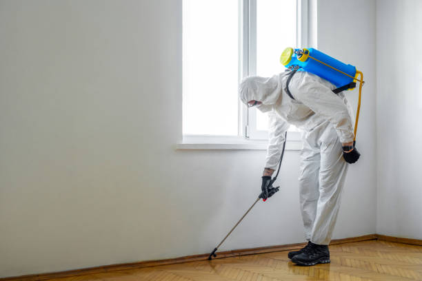 Best Termite Control Services  in Franklin, WI