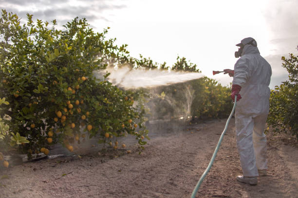 Best Cockroach Control Services  in Franklin, WI
