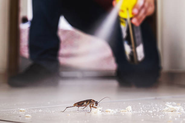 Best Commercial Pest Control Services  in Franklin, WI