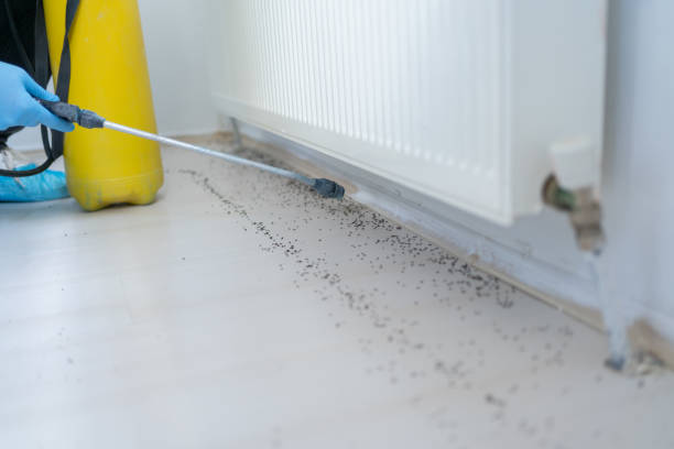 Best Pest Control Near Me  in Franklin, WI