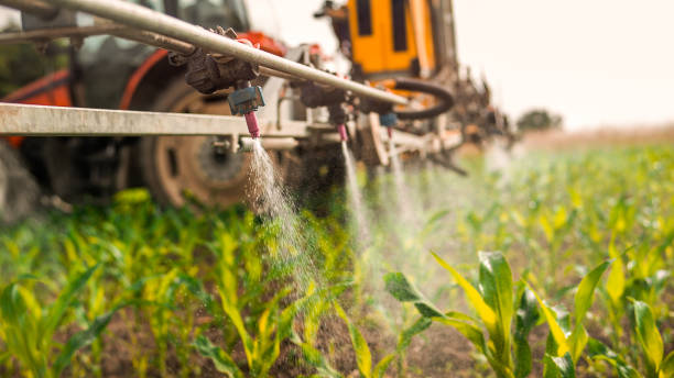 Best Mosquito Control Services  in Franklin, WI
